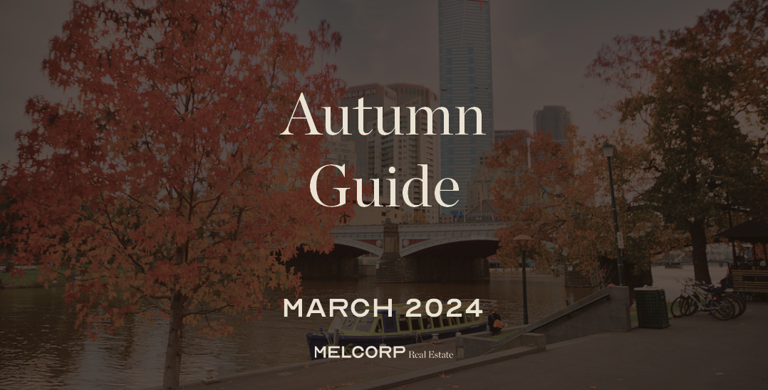 Market Update 2024 – Autumn Guide